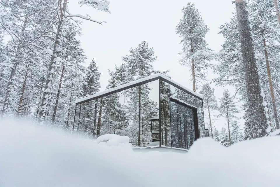 Mirrored Invisible Suite among snow-covered pines