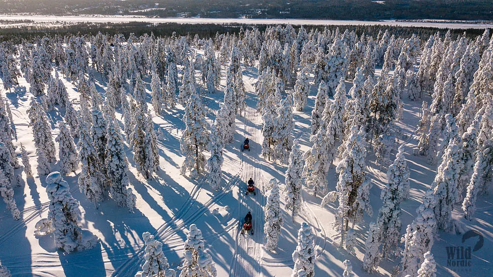 Des motoneiges suivent une piste dans une forêt enneigée