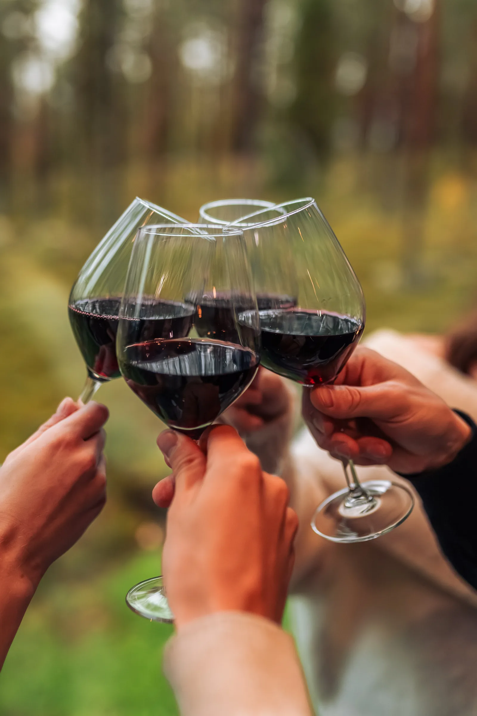 Quatro copos de vinho tinto erguidos num brinde ao ar livre