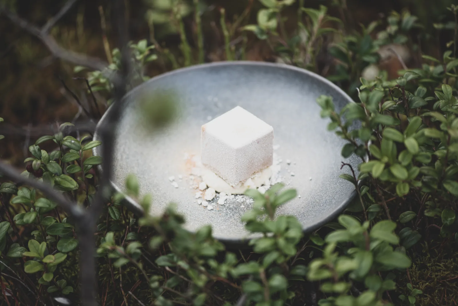 Schlicht angerichtetes Dessert mit Nebeleffekt