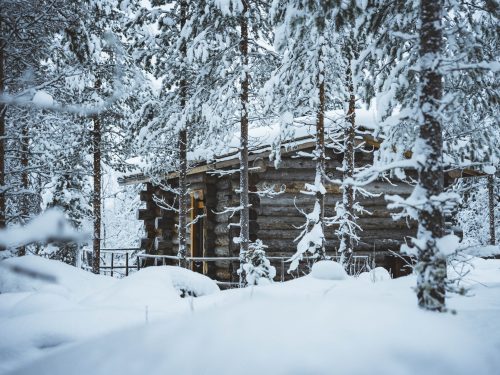 Luxury log villa and cosy cabin